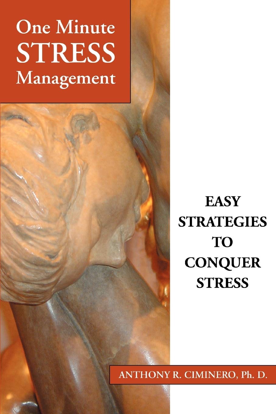 ONE MINUTE STRESS MANAGEMENT: EASY STRATEGIES TO CONQUER STRESS Paperback