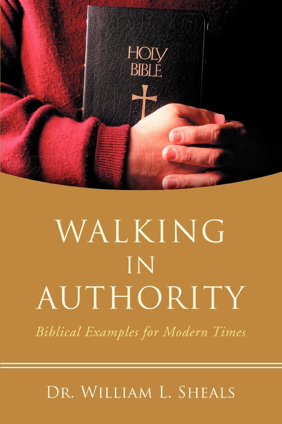 WALKING IN AUTHORITY: Biblical Examples for Modern Times Paperback