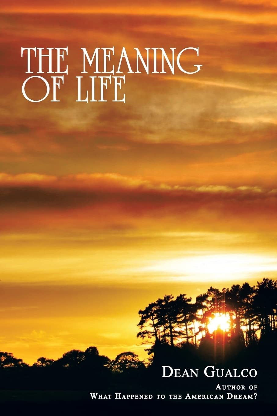 The Meaning of Life Paperback