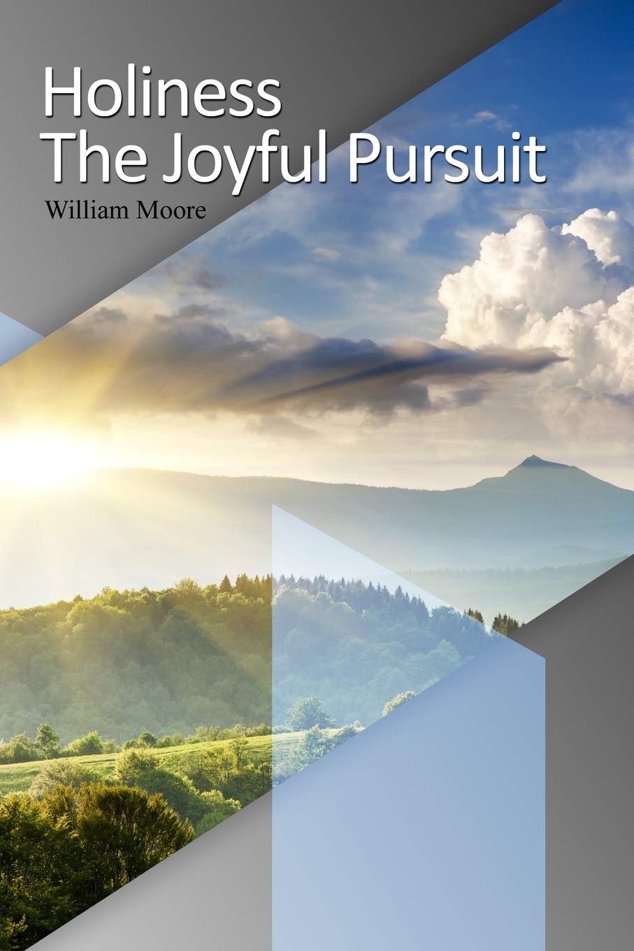Holiness: The Joyful Pursuit - Paperback