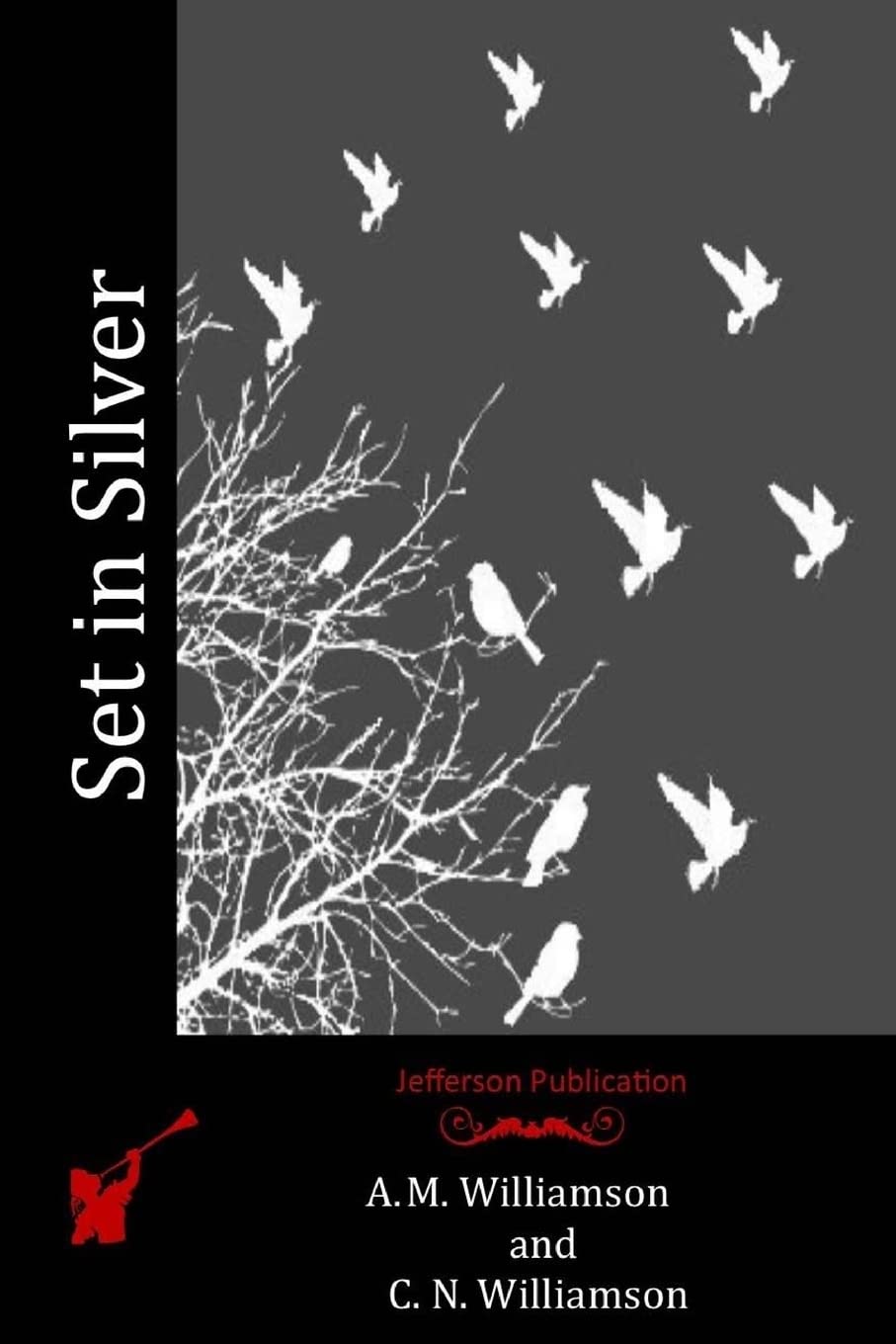 Set in Silver - Paperback