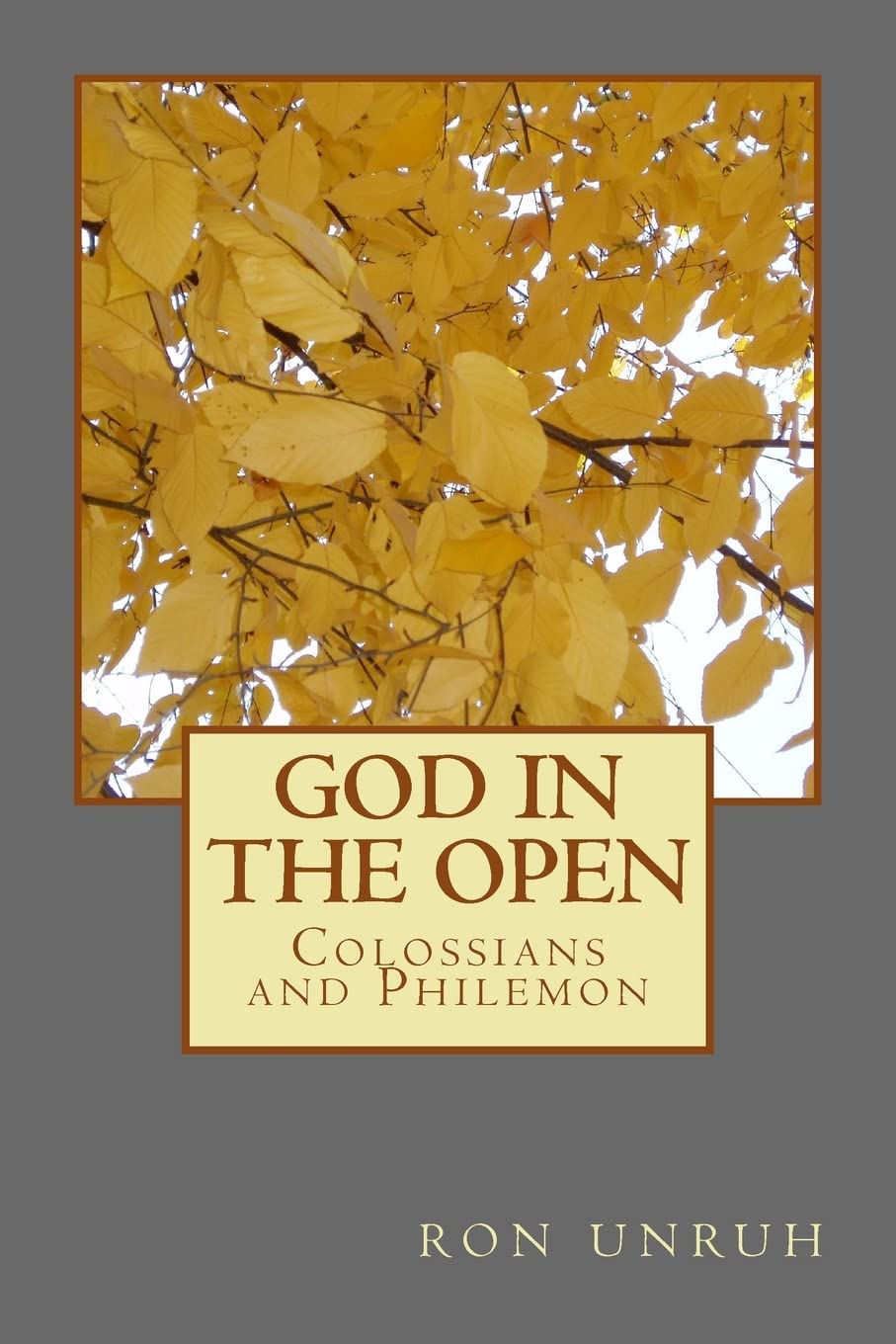 God in the Open: Colossians and Philemon: Volume 1 (New Testament Series) Paperback