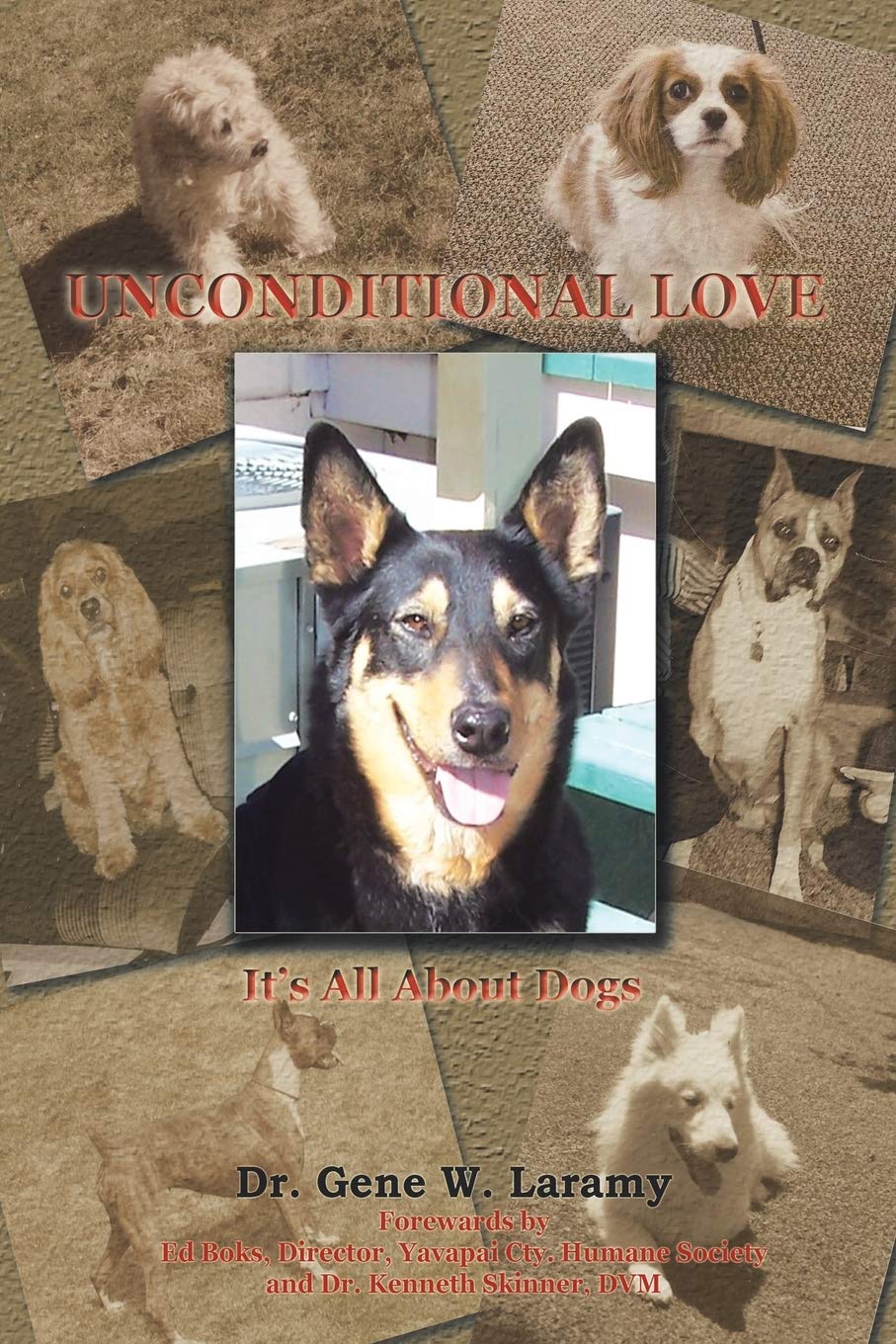 Unconditional Love: It's All About Dogs -Paperback