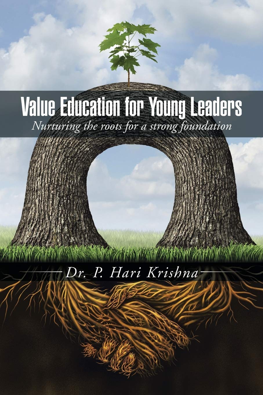 Value Education for Young Leaders: Nurturing the roots for a strong foundation - Paperback