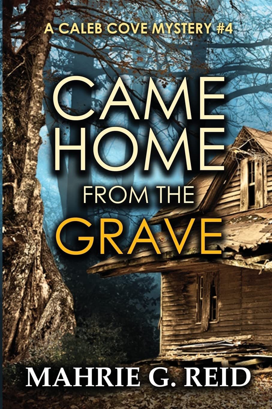 Came Home from the Grave: A Caleb Cove Mystery #4: Volume 4 (The Caleb Cove Mystery Series) Paperback