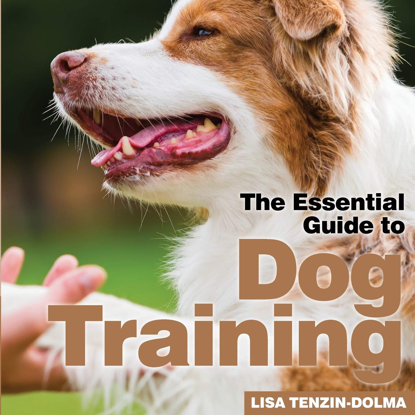 Dog Training Paperback