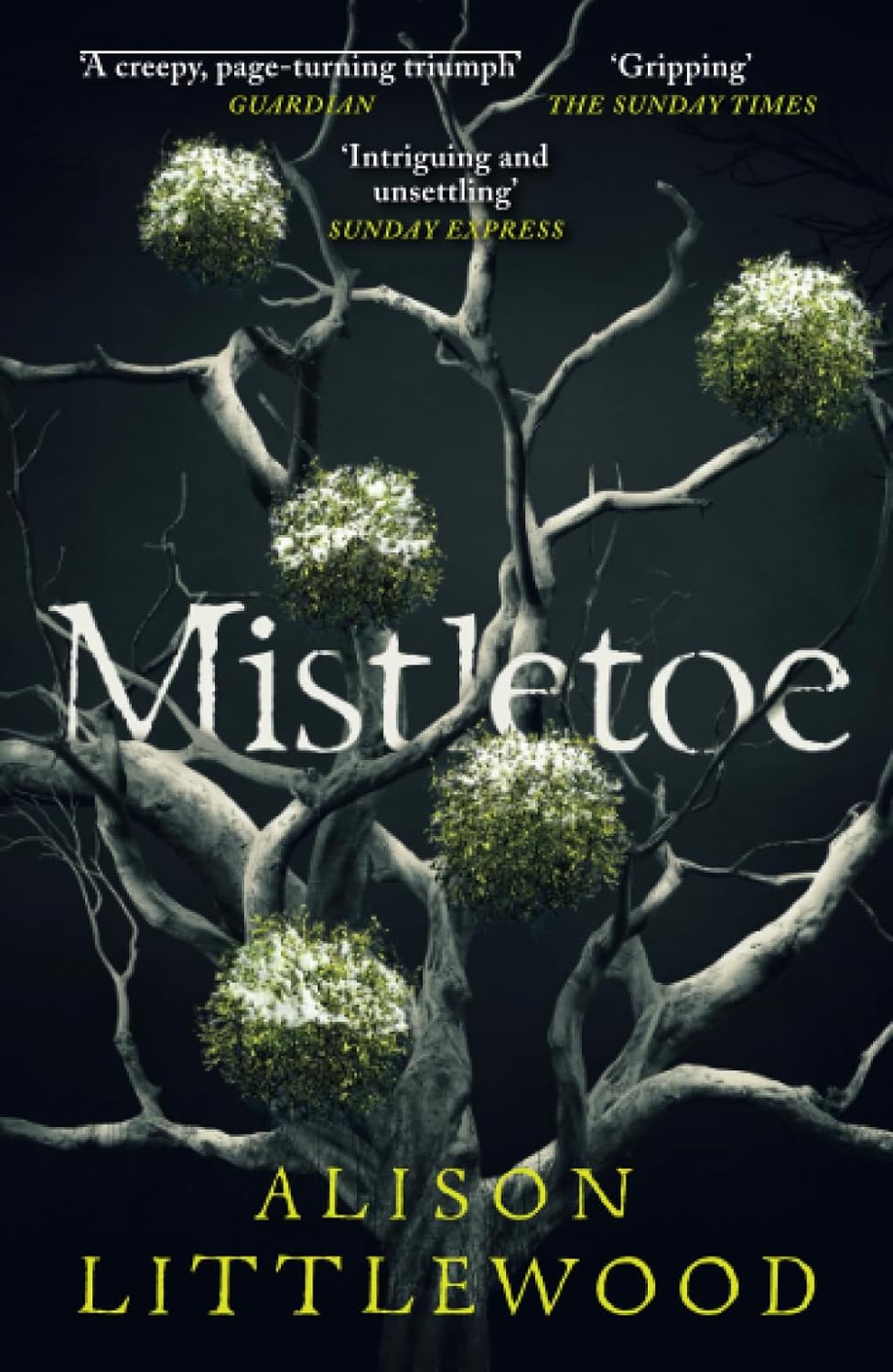 Mistletoe: 'The perfect read for frosty nights' HEAT Paperback