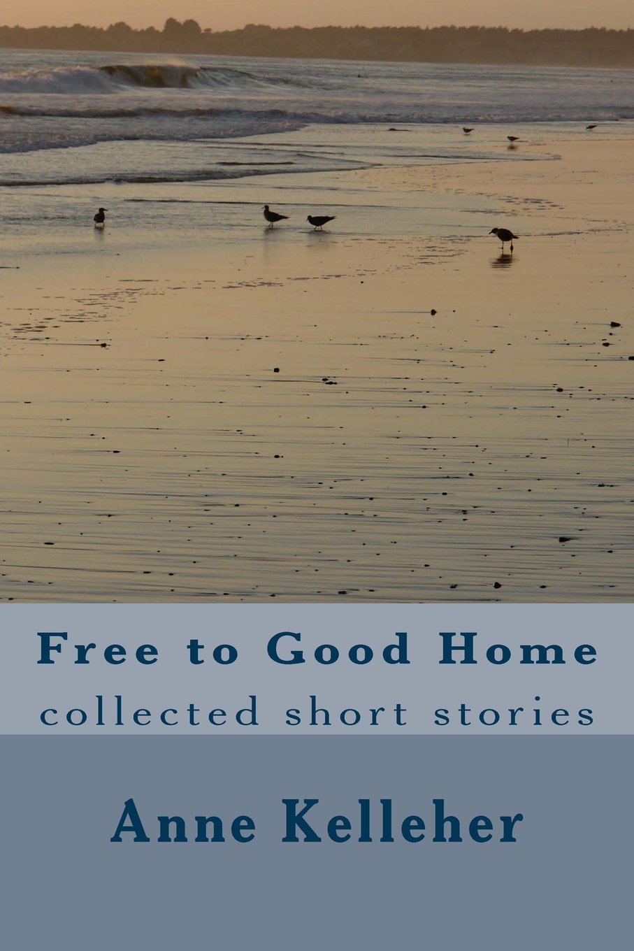 Free to Good Home: collected short stories Paperback