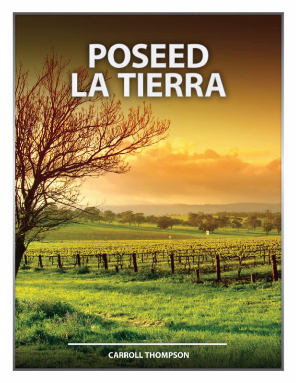 Poseed La Tierra Paperback - Spanish edition