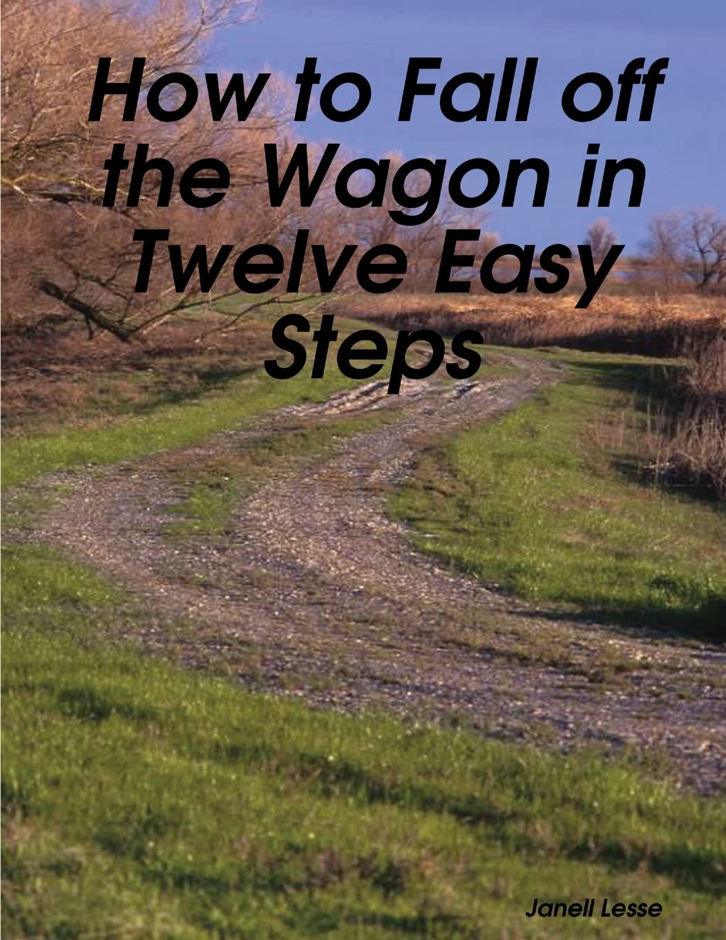 How To Fall Off The Wagon In Twelve Easy Steps Paperback