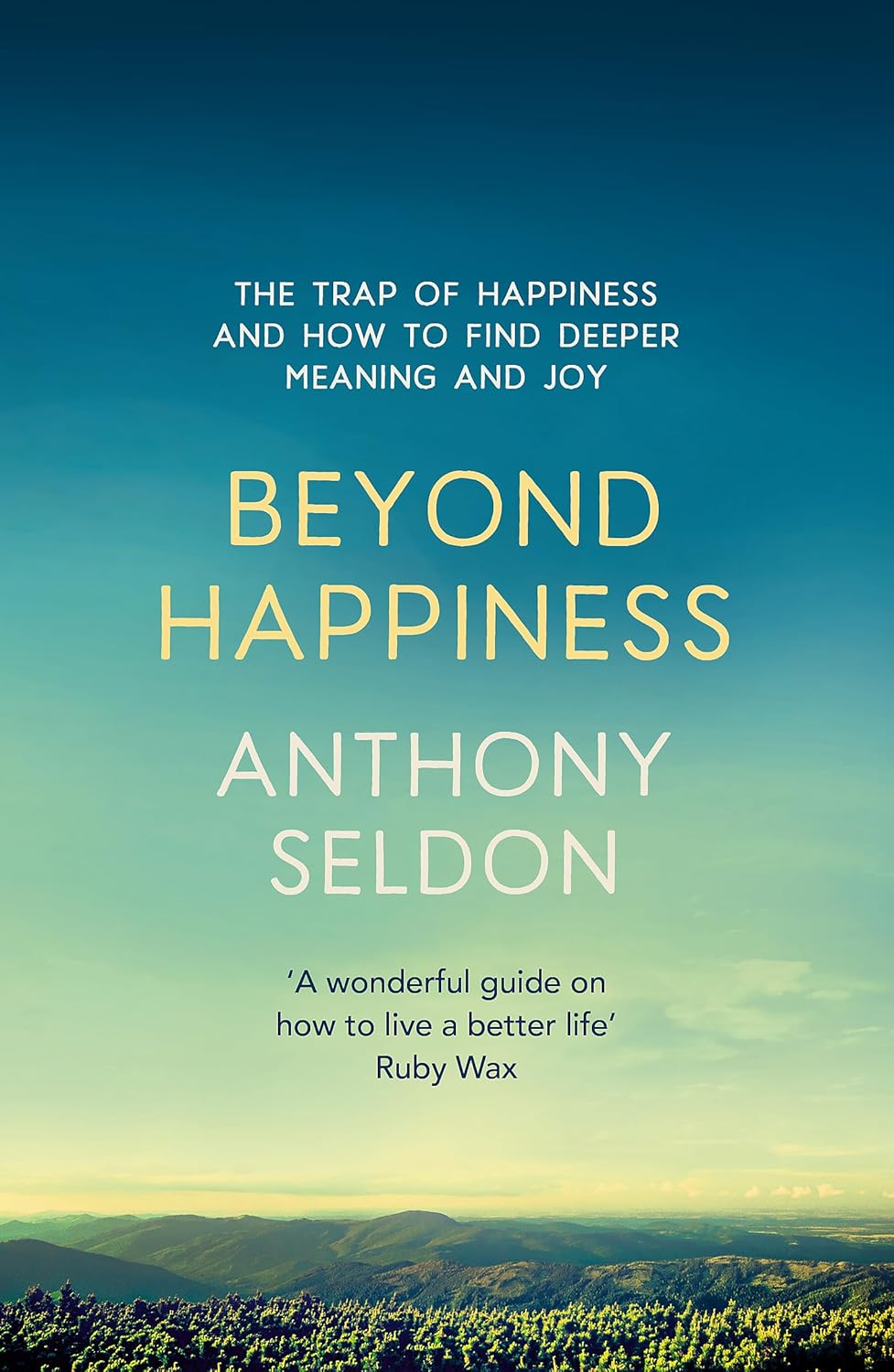 Beyond Happiness: How to find lasting meaning and joy in all that you have - Paperback