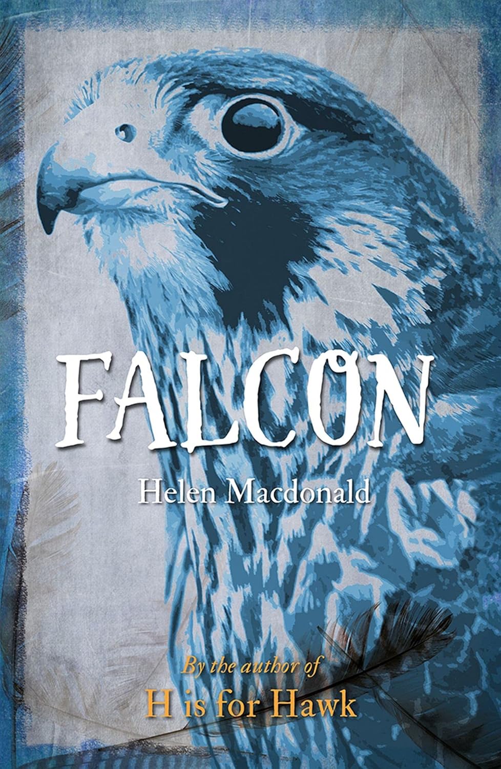 Falcon - Paperback