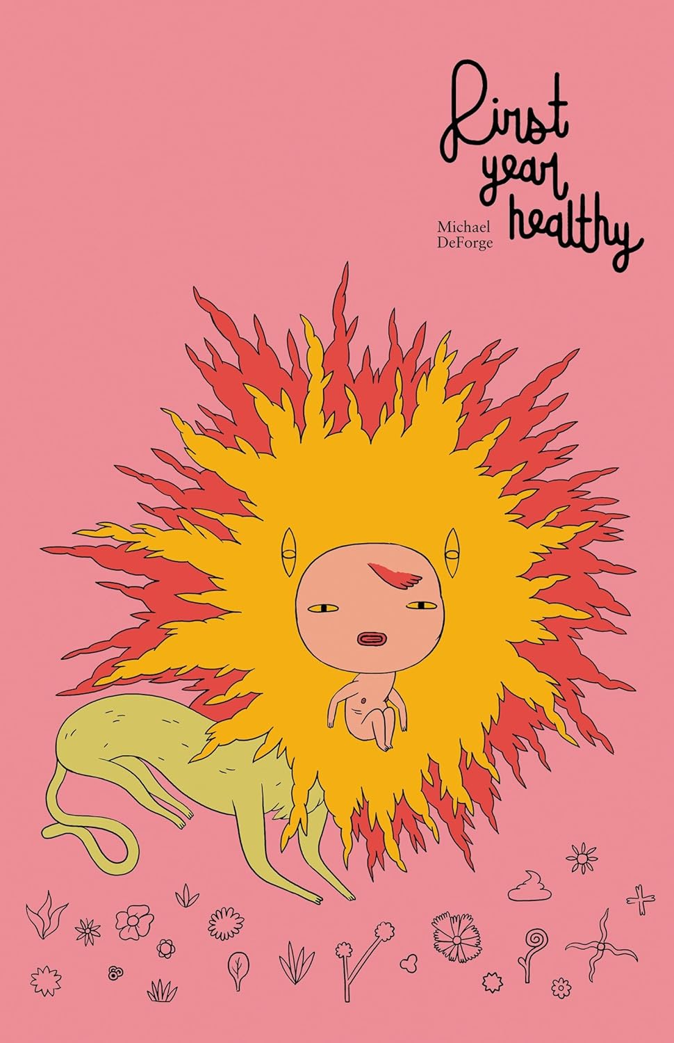 First Year Healthy Hardcover