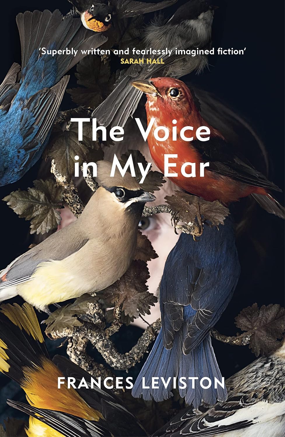 The Voice in My Ear - Paperback