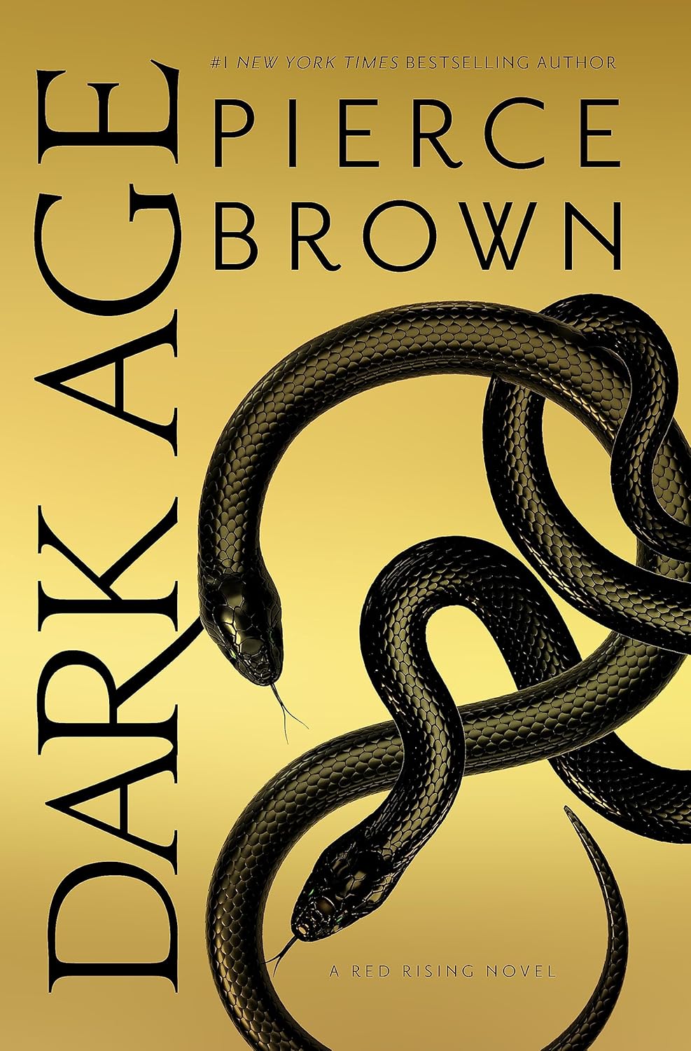 Dark Age: the thrilling fifth entry in the dystopian science fiction RED RISING series Paperback