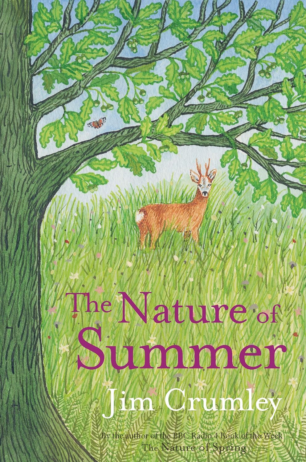 The Nature of Summer: 4 (Seasons) Paperback