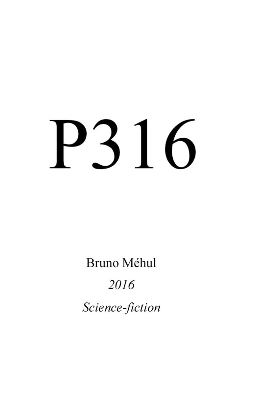 P316 -  Paperback   ( French edition )