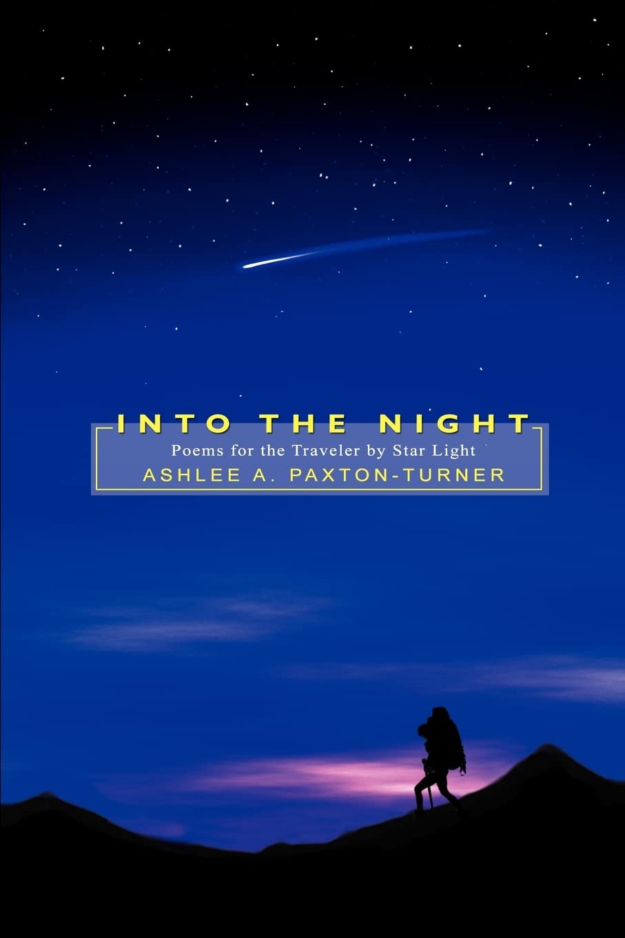 Into the Night: Poems for the Traveler by Star Light Paperback