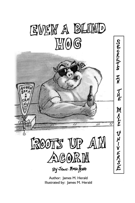 Even a Blind Hog Roots up an Acorn: Secrets in the Male Universe Paperback