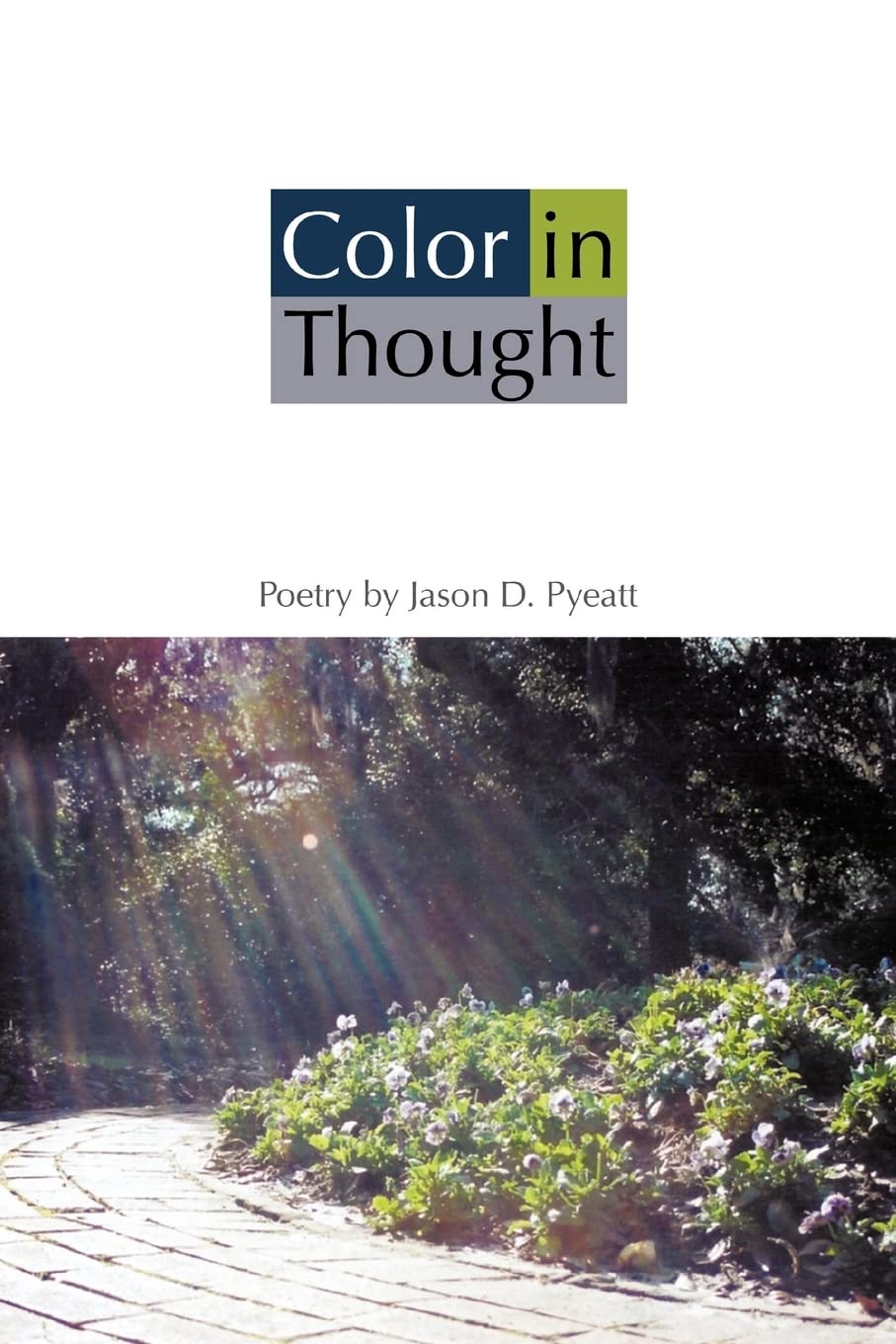 Color in Thought Paperback