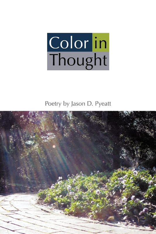 Color in Thought Paperback