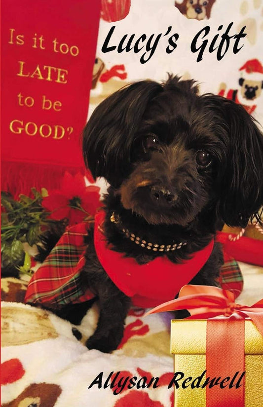 Lucy's Gift  -  Paperback