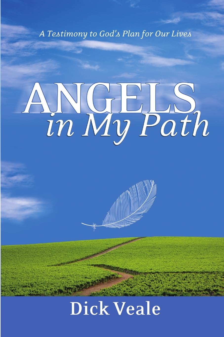 Angels in My Path: A Testimony to God's Plan for Our Lives Paperback