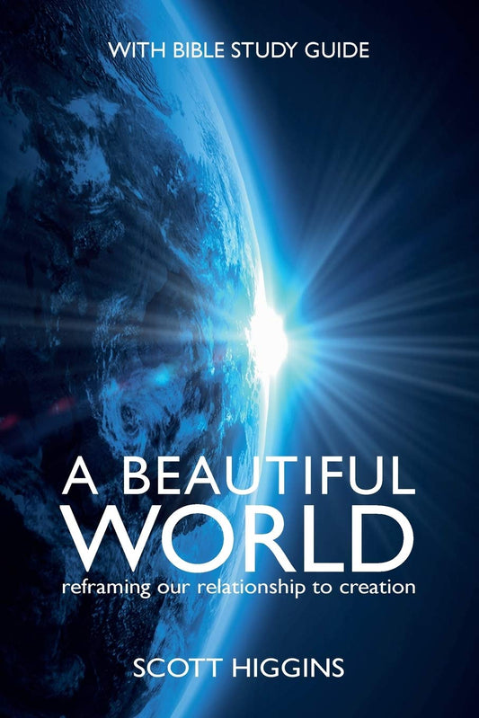 A Beautiful World: Reframing Our Relationship to Creation (ActiveLearn Platform and Development.) Paperback