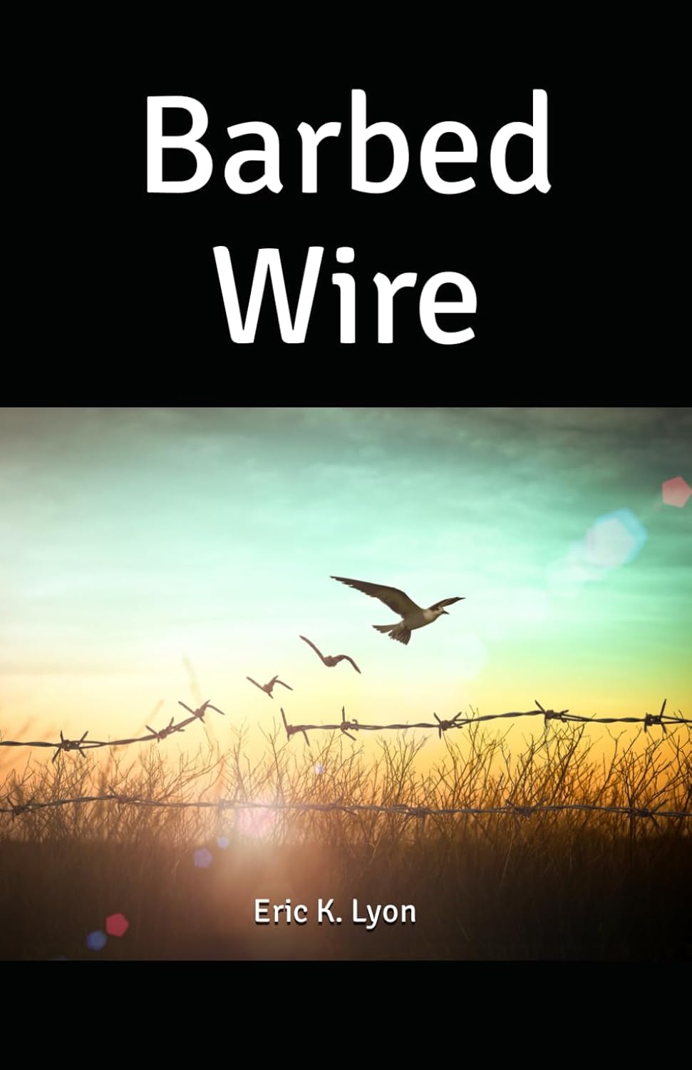 Barbed Wire: Kamikaze Rabbits & Other Improbable but Mostly True Tales from Northwest Arizona Paperback