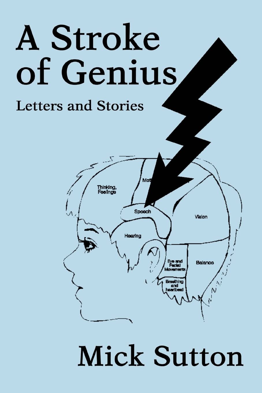 A Stroke of Genius: Letters and Stories Paperback