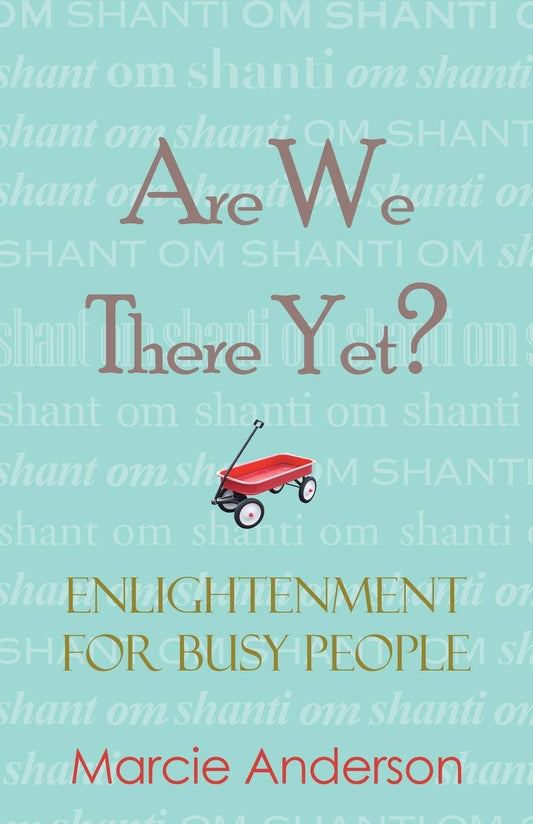 Are We There Yet?: Enlightenment for Busy People - Paperback