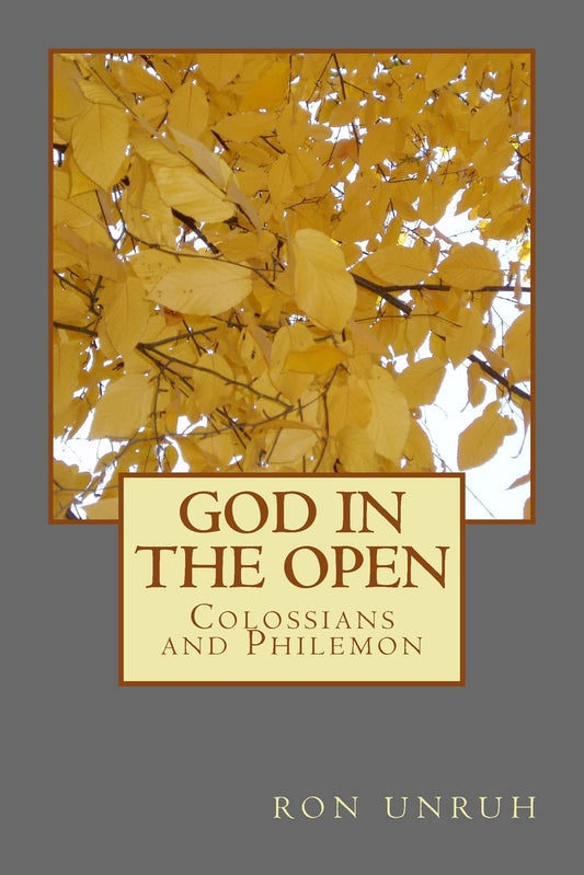 God in the Open: Colossians and Philemon: Volume 1 (New Testament Series) Paperback
