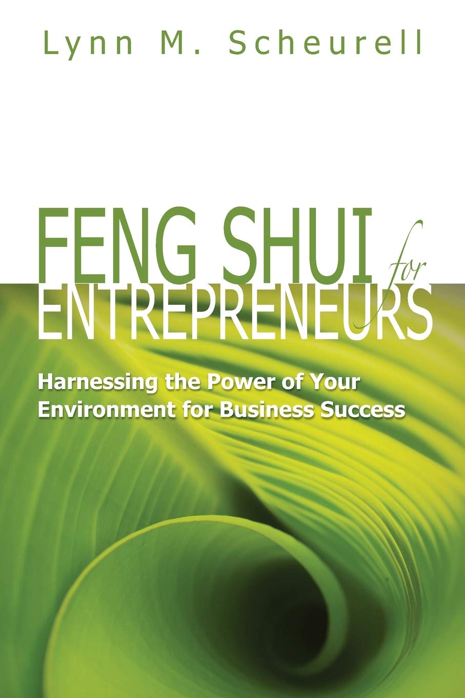 Feng Shui for Entrepreneurs: Harnessing the Power of Your Environment for Business Success Paperback