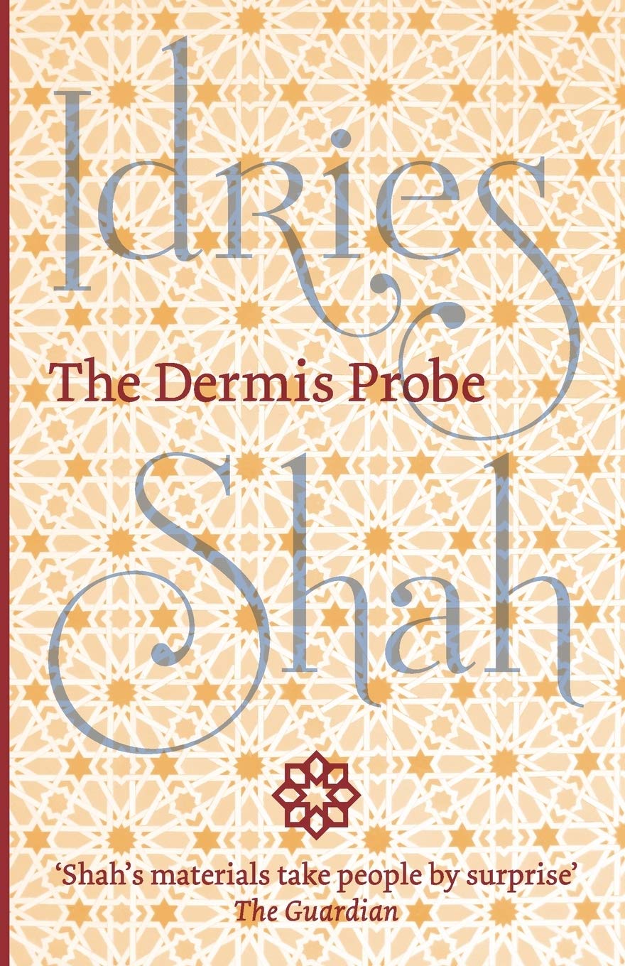 The Dermis Probe Paperback