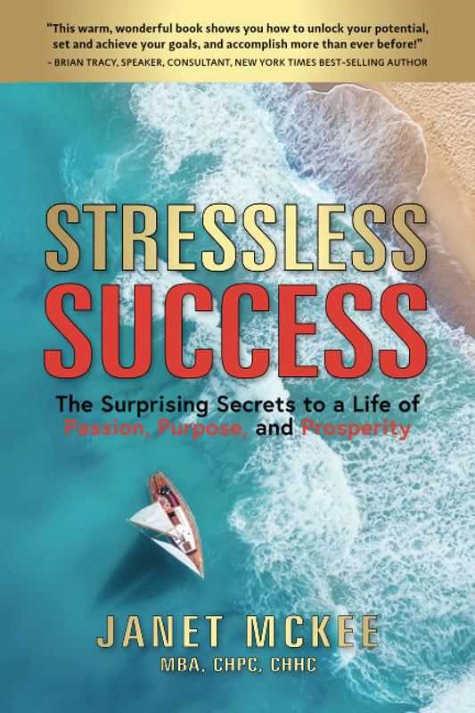 Stressless Success: The Surprising Secrets to a Life of Passion, Purpose, and Prosperity Paperback