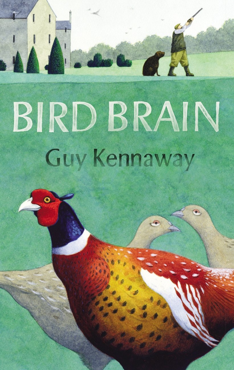 Bird Brain Paperback