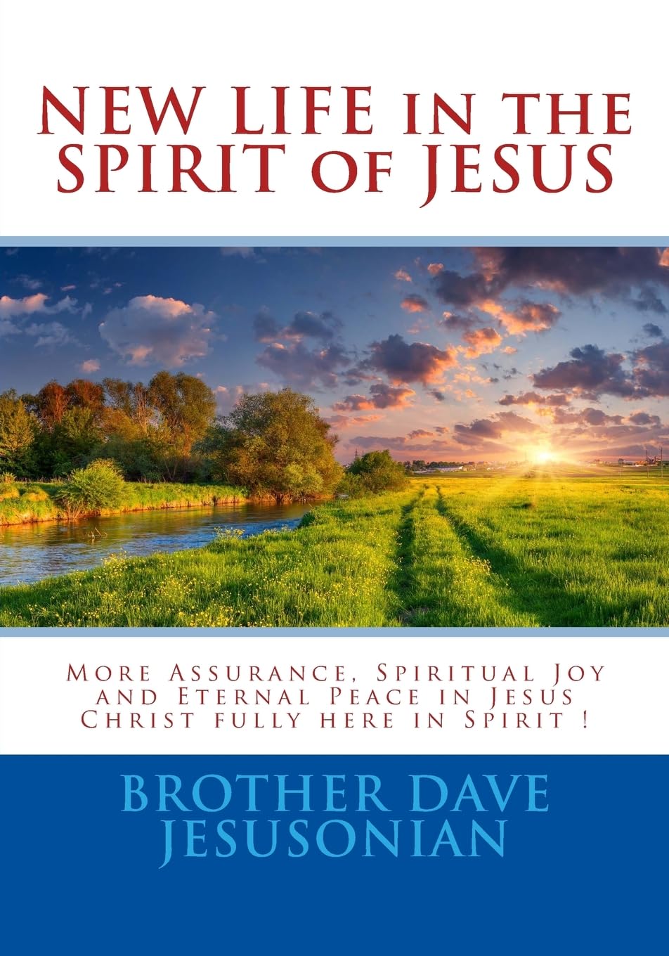 NEW LIFE in the SPIRIT of JESUS: More Assurance, Spiritual Joy and Eternal Peace in Jesus Christ fully here in Spirit ! Paperback