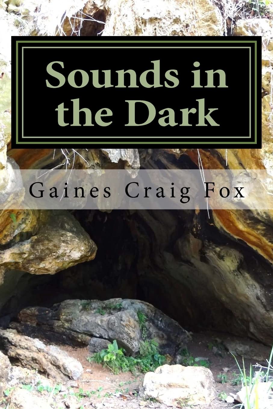 Sounds in the Dark: A Juvenile Adventure Novel  -Paperback