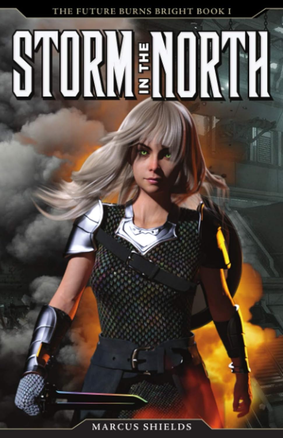 Storm In The North: The Future Burns Bright, Book 1 Paperback