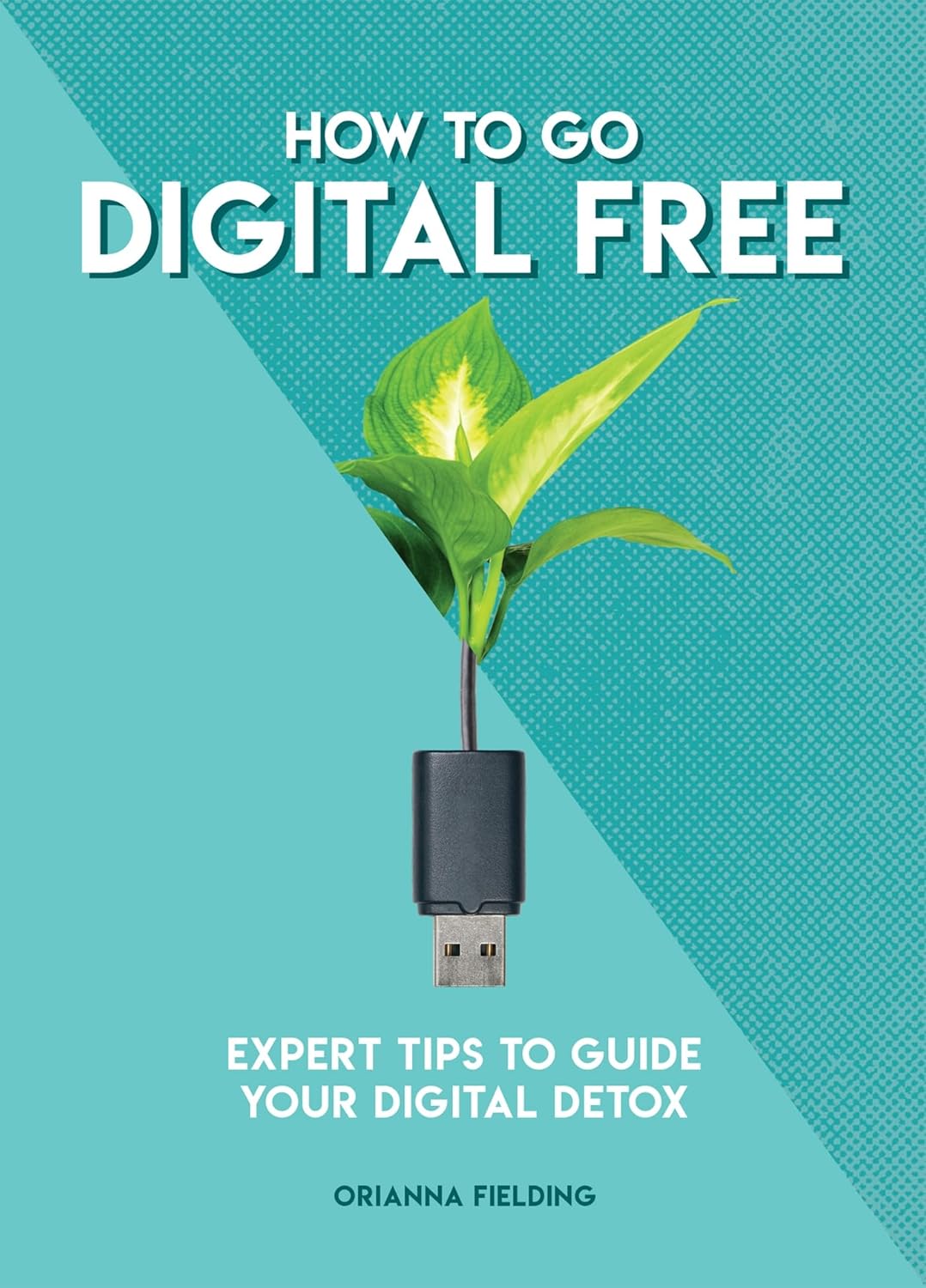 How to Go Digital Free: Expert Tips to Guide Your Digital Detox (How To Go... series) Paperback