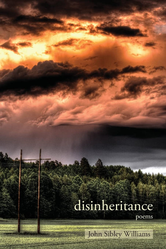 Disinheritance: Poems  - Paperback