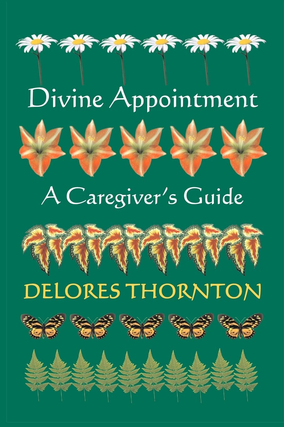 Divine Appointment: A Caregiver's Guide Paperback