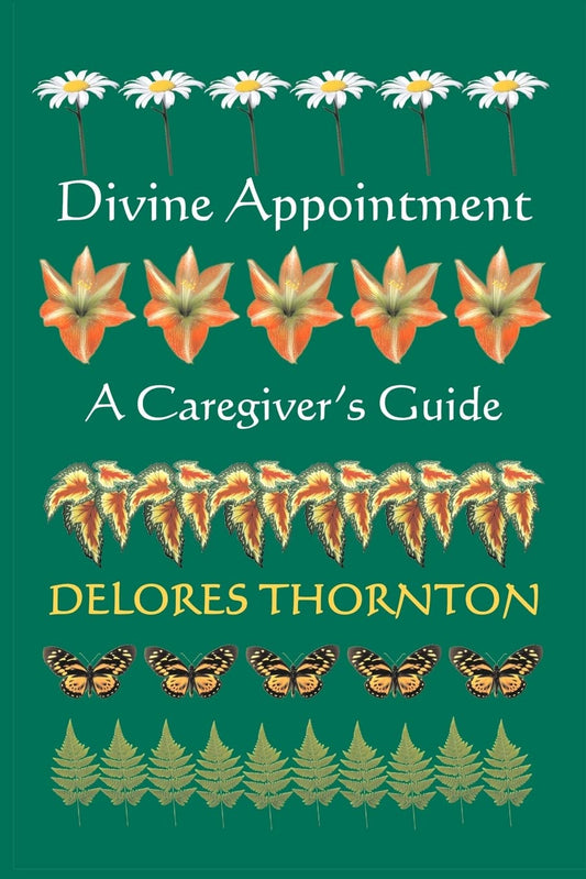 Divine Appointment: A Caregiver's Guide Paperback