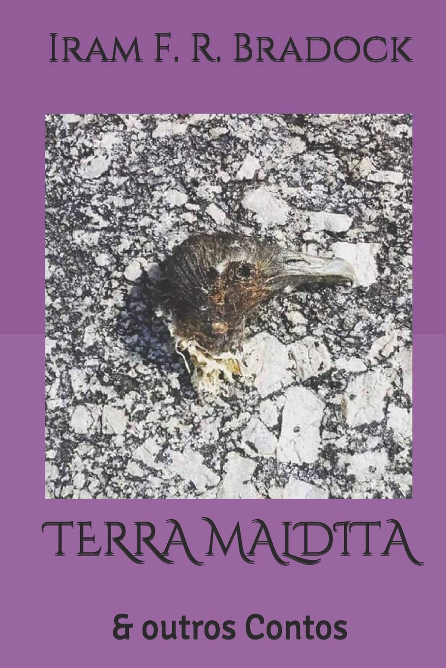 TERRA MALDITA: & outros Contos: 4 (Contos Bradockianos) Paperback