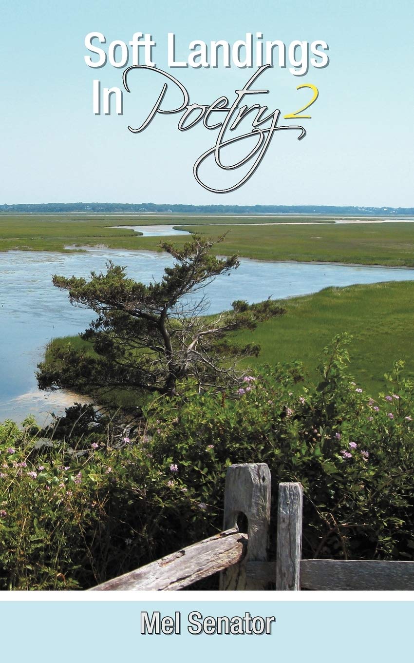 Soft Landings In Poetry 2  - Paperback