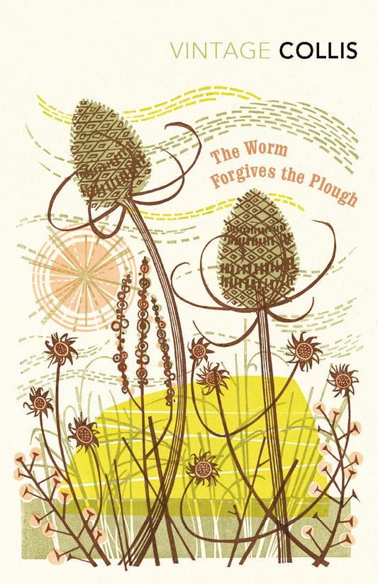 The Worm Forgives the Plough Paperback