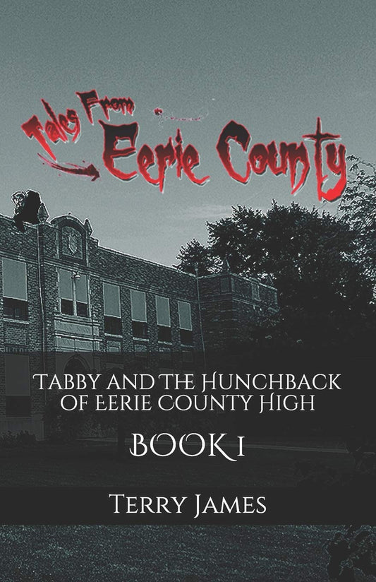 Tabby and The Hunchback of Eerie County High: Volume 1 (Tales from Eerie County) Paperback