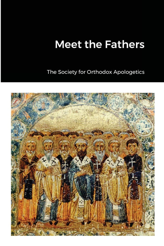 Meet the Fathers   -Paperback