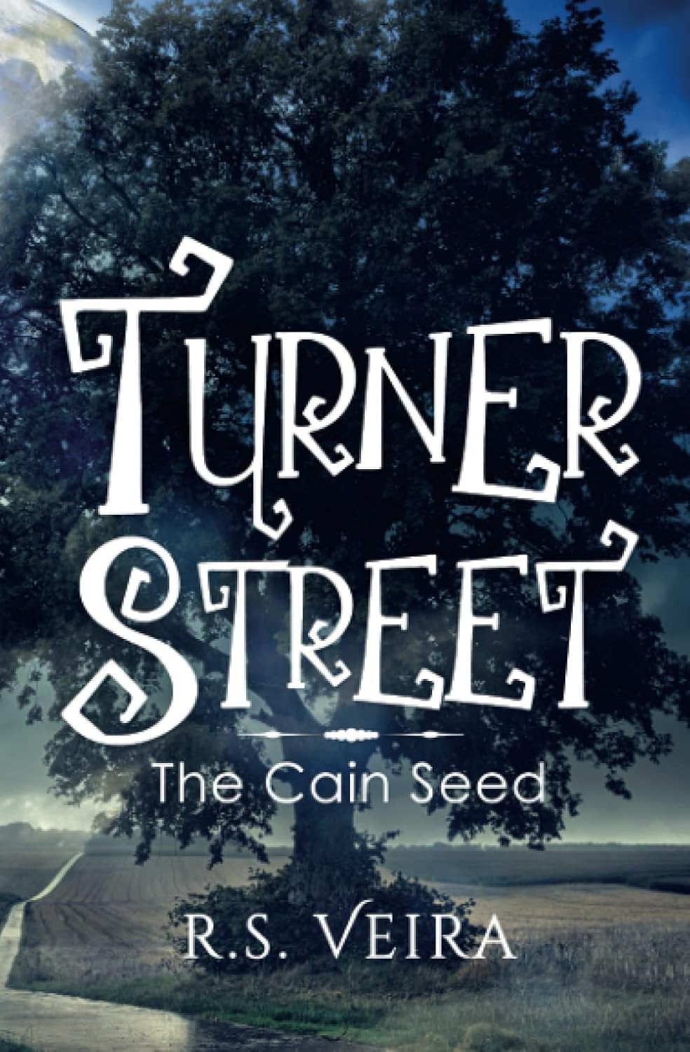 Turner Street: The Cain Seed: 2 (Turner Street Chronicles) Paperback