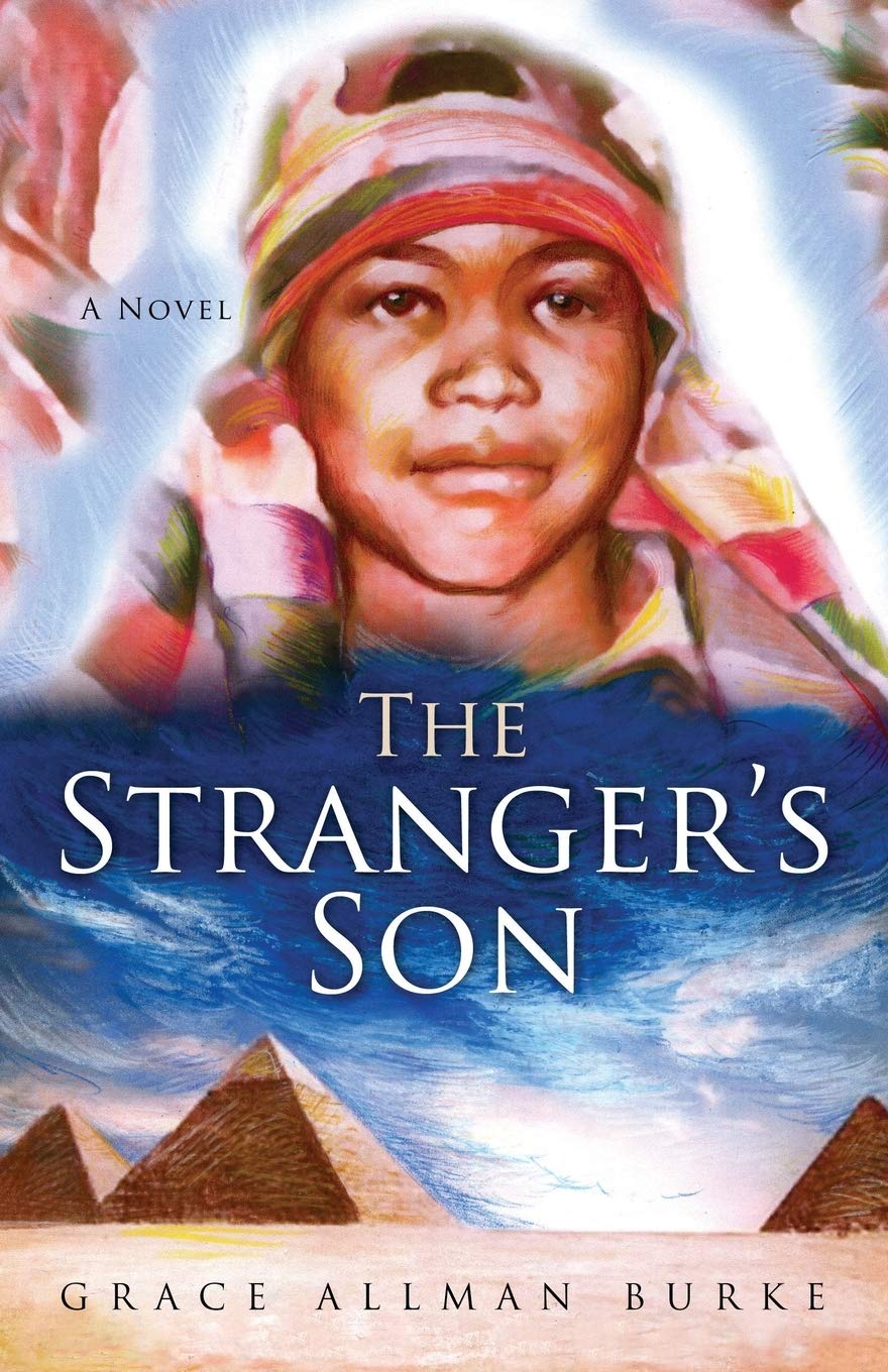 The Stranger's Son: A Novel  -  Paperback